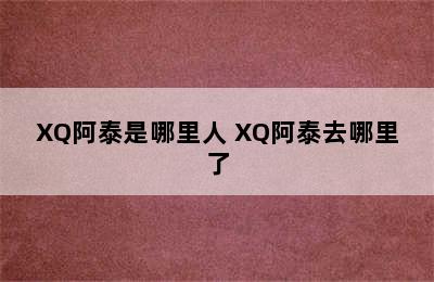 XQ阿泰是哪里人 XQ阿泰去哪里了